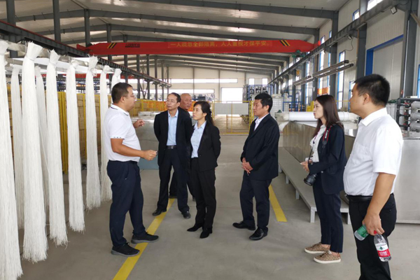 陜西航天建設集團有限公司總經(jīng)理、黨委副書記謝明娟率隊赴遼寧一諾環(huán)保產(chǎn)業(yè)集團開展考察調(diào)研工作